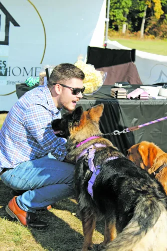 Bark in the Park back for its fourth year